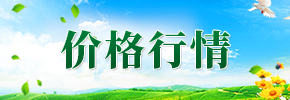價格行情